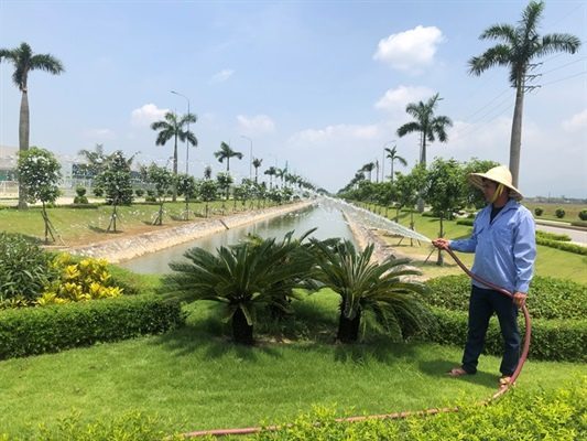 Chăm sóc cây xanh tại KCN Protrade
