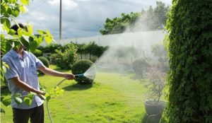 Chăm sóc cây xanh tại KCN Protrade