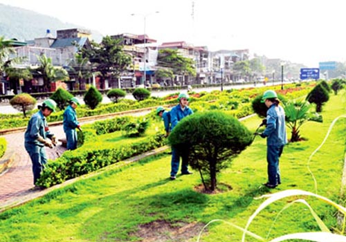 Chăm sóc cây xanh tại Tây Ninh 