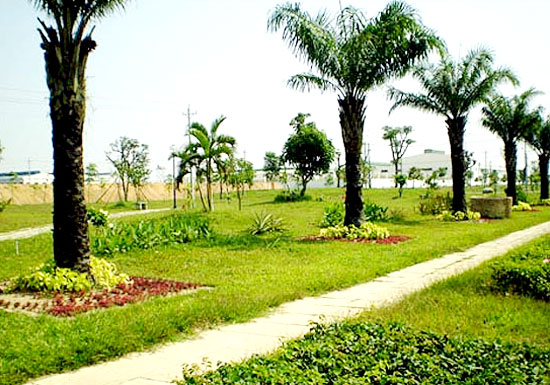 Thiết Kế Thi Công Cây Xanh Tại Tây Ninh
