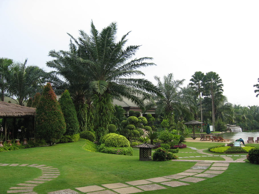  Thiết Kế Thi Công Cây Xanh Tại Tây Ninh