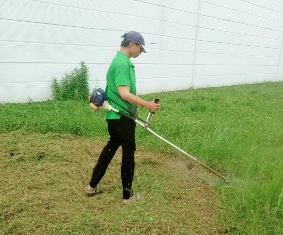 Cắt Tỉa Cây Xanh Tại Bình Chánh