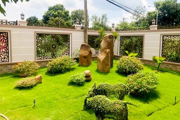 Trồng cỏ tại Vũng Tàu