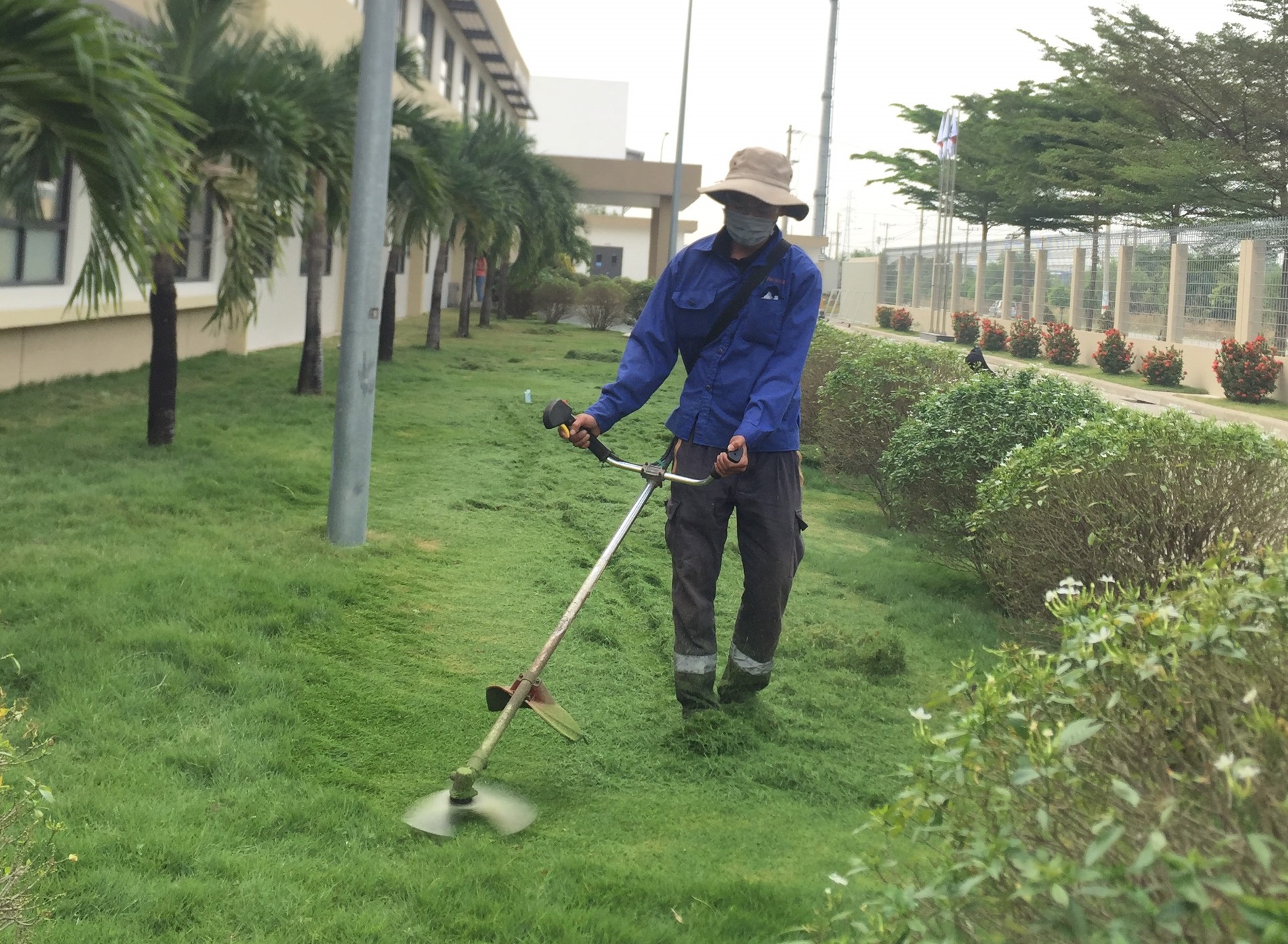 Dịch vụ cắt tỉa cỏ chuyên nghiệp