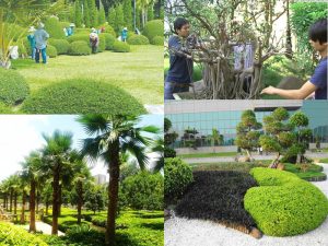 Trồng cây xanh tại KCN Đại Đăng