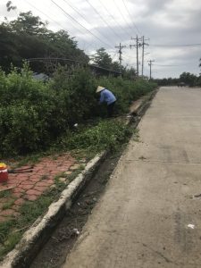 Chăm sóc cây xanh tại KCN Rạch Bắp
