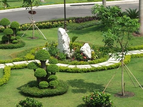 Cung cấp cây xanh tại KCN Mỹ Phước