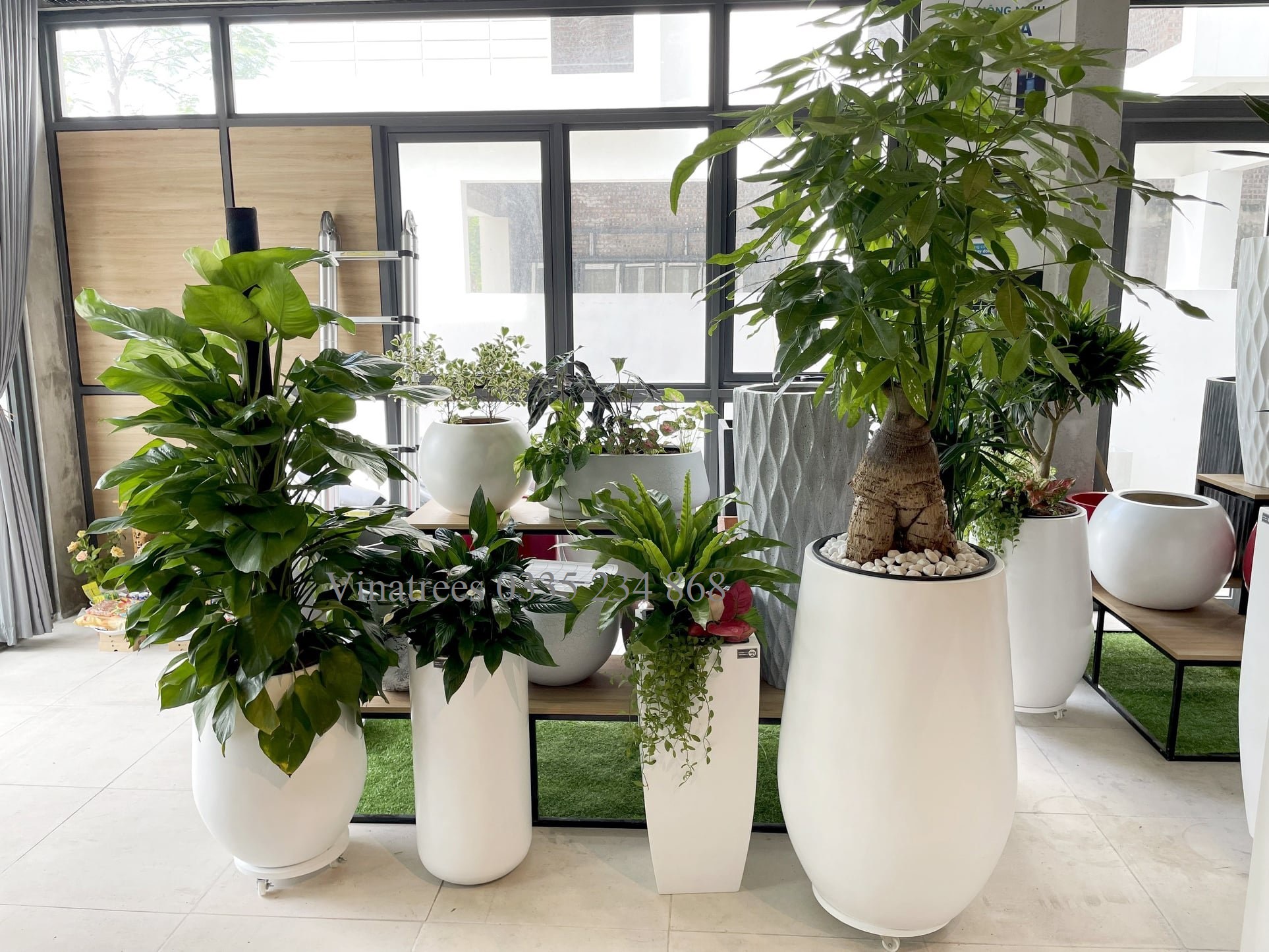 Thuê cây văn phòng tại KCN Kim Huy