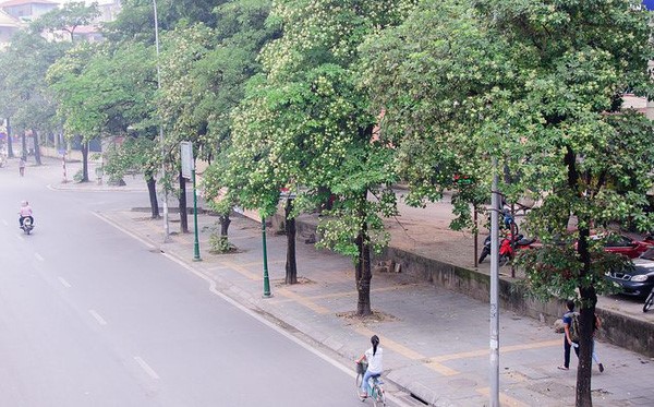 Ứng dụng phổ biến của dịch vụ cung cấp