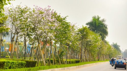 Ứng dụng phổ biến của thi công cảnh quan tại KCN Việt Remax