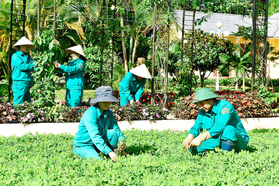 Thi Công Cảnh Quan Tại KCN Việt Remax