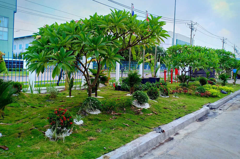 Trồng Cây Xanh Tại KCN Thới Hòa 2025