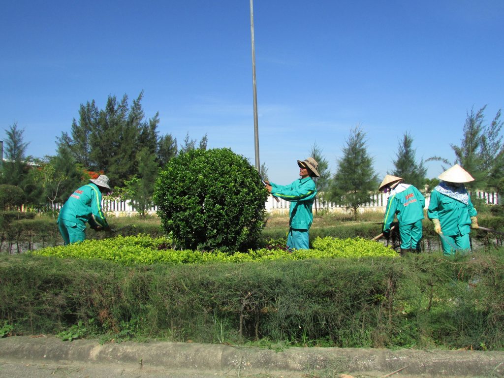 Trồng Cây Xanh Tại KCN Thới Hòa 