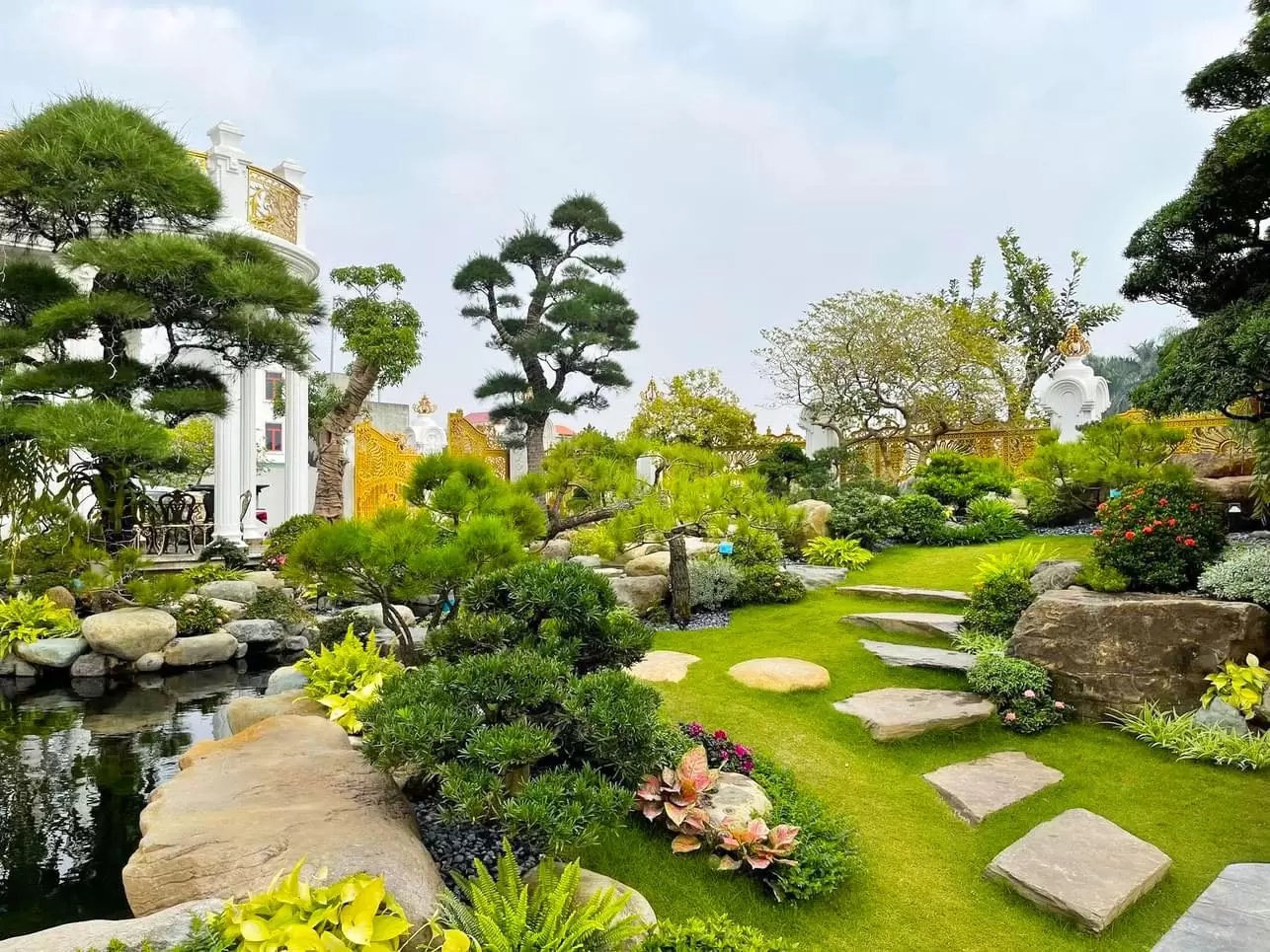 Bảng giá chăm sóc cây xanh tại Bình Dương