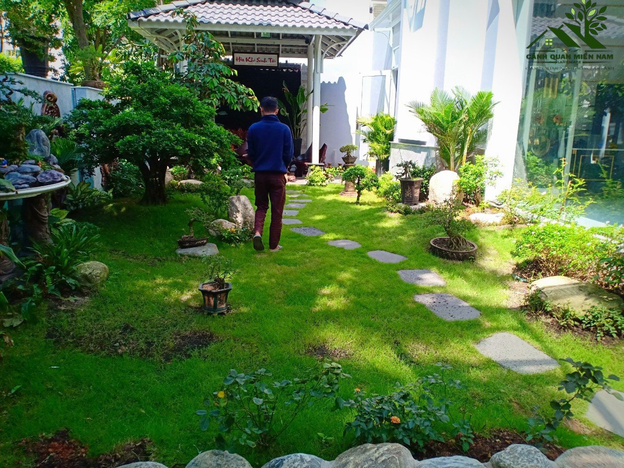 Chăm sóc cây xanh định kỳ cho biệt thự