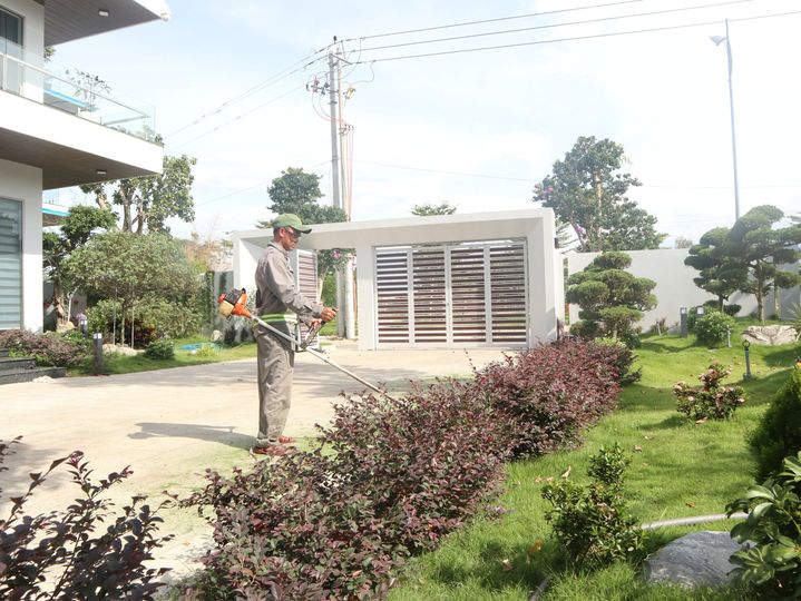 Chăm sóc cây xanh định kỳ cho biệt thự