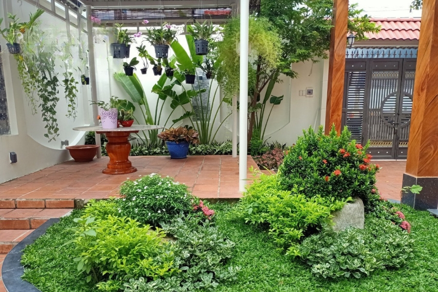 trồng cỏ tại KCN Bàu Bàng