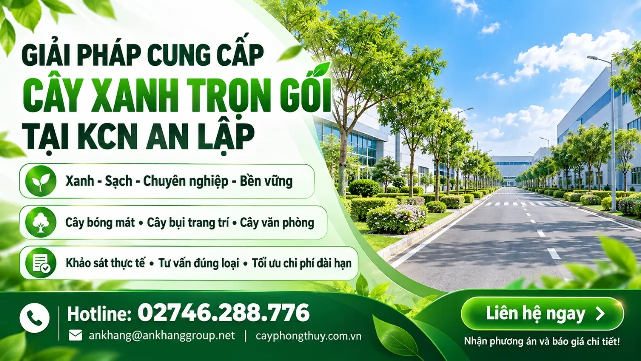 Cung cấp cây xanh tại KCN An Lập