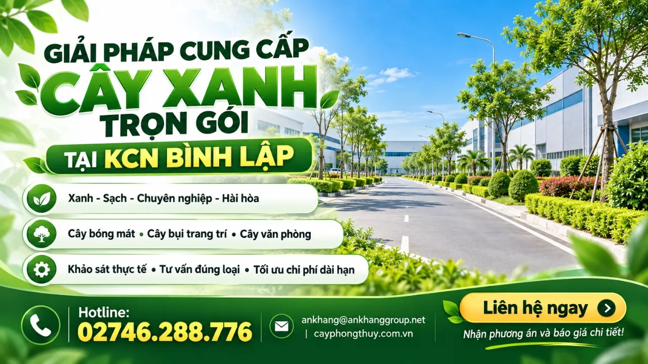 Cung cấp cây xanh tại KCN Bình Lập