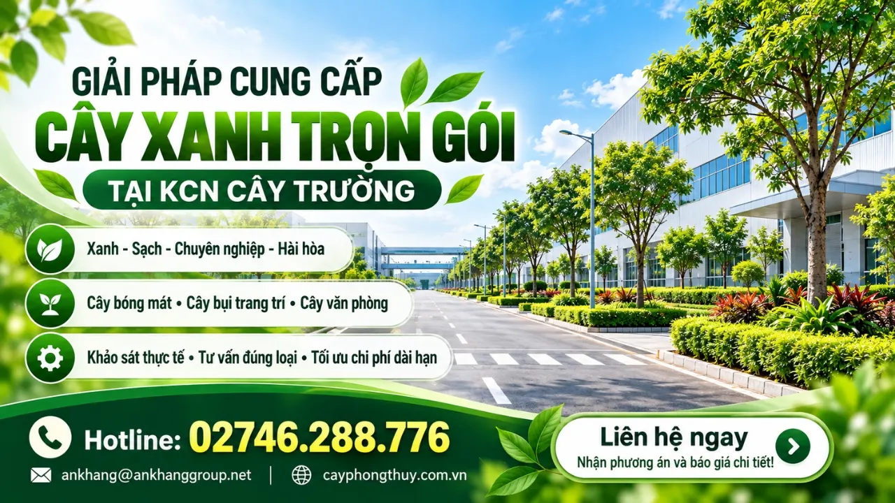 Cung cấp cây xanh tại KCN Cây Trường