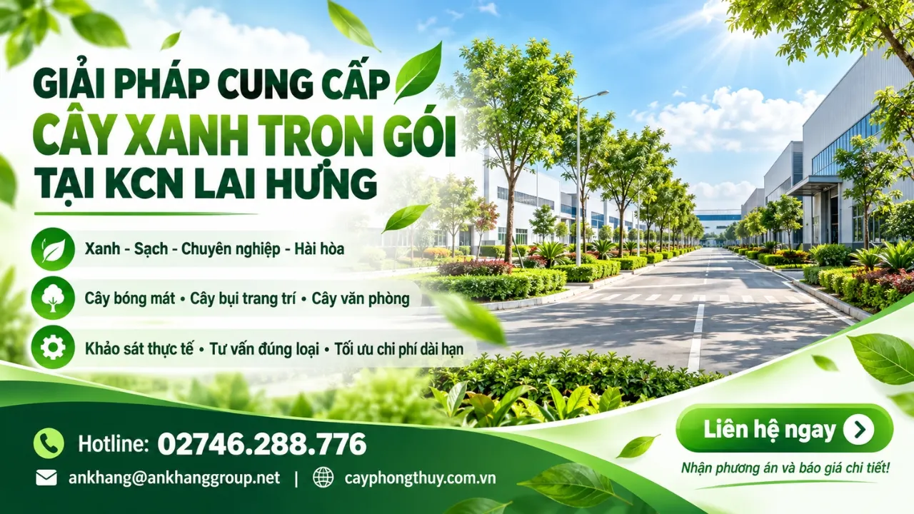 Cung cấp cây xanh tại KCN Lai Hưng