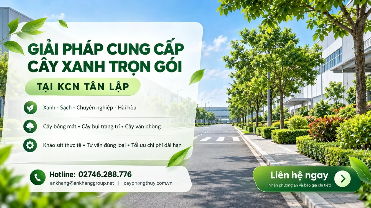 Cung cấp cây xanh tại KCN Tân Lập