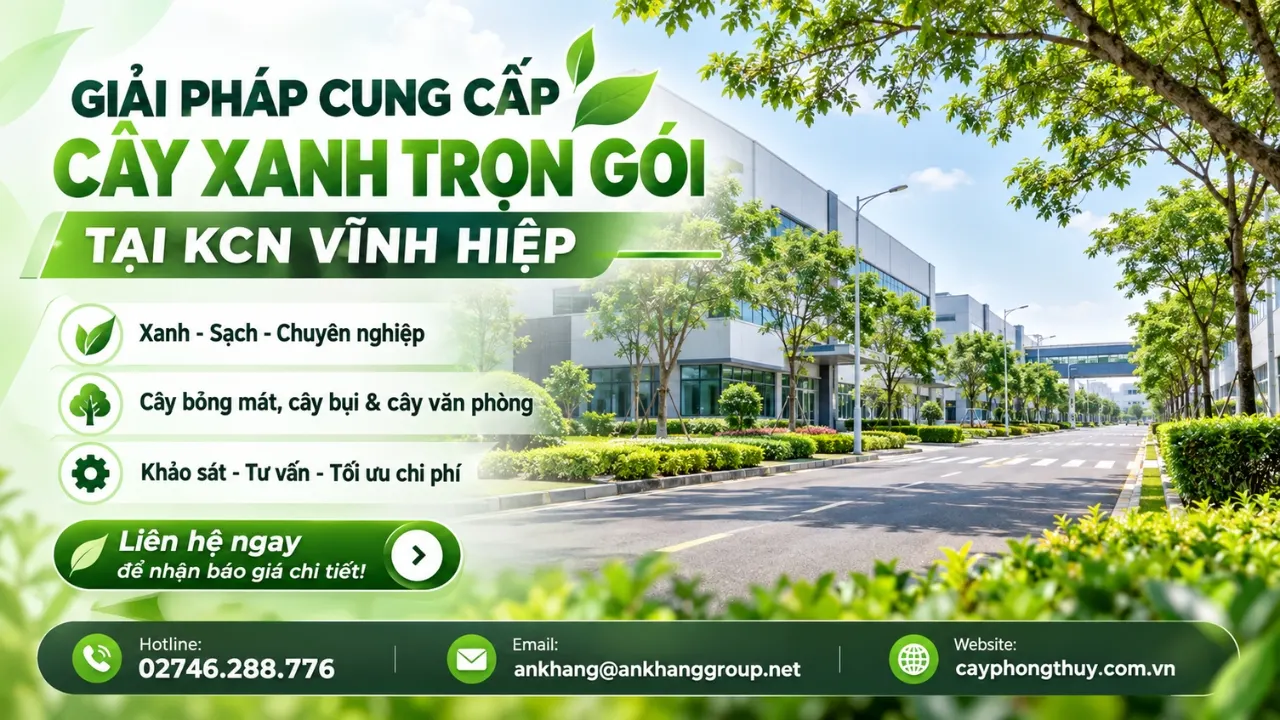 Cung cấp cây xanh tại KCN Vĩnh Hiệp