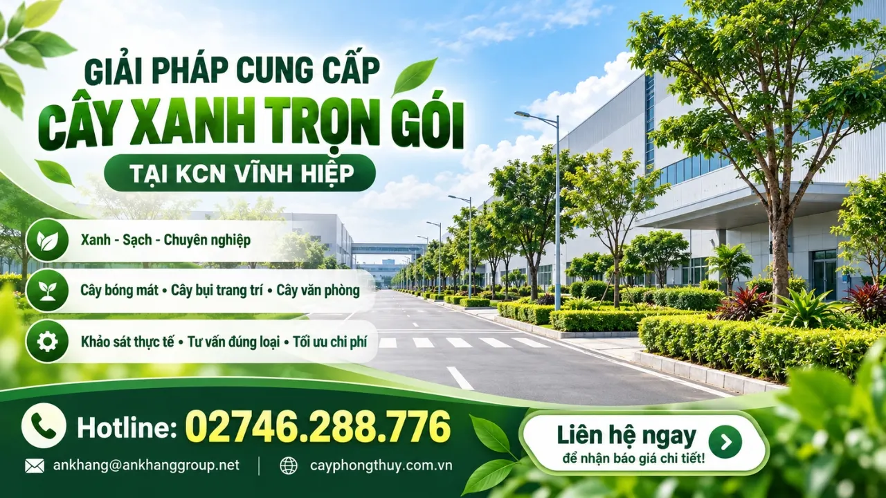 Cung cấp cây xanh tại KCN Vĩnh Hiệp