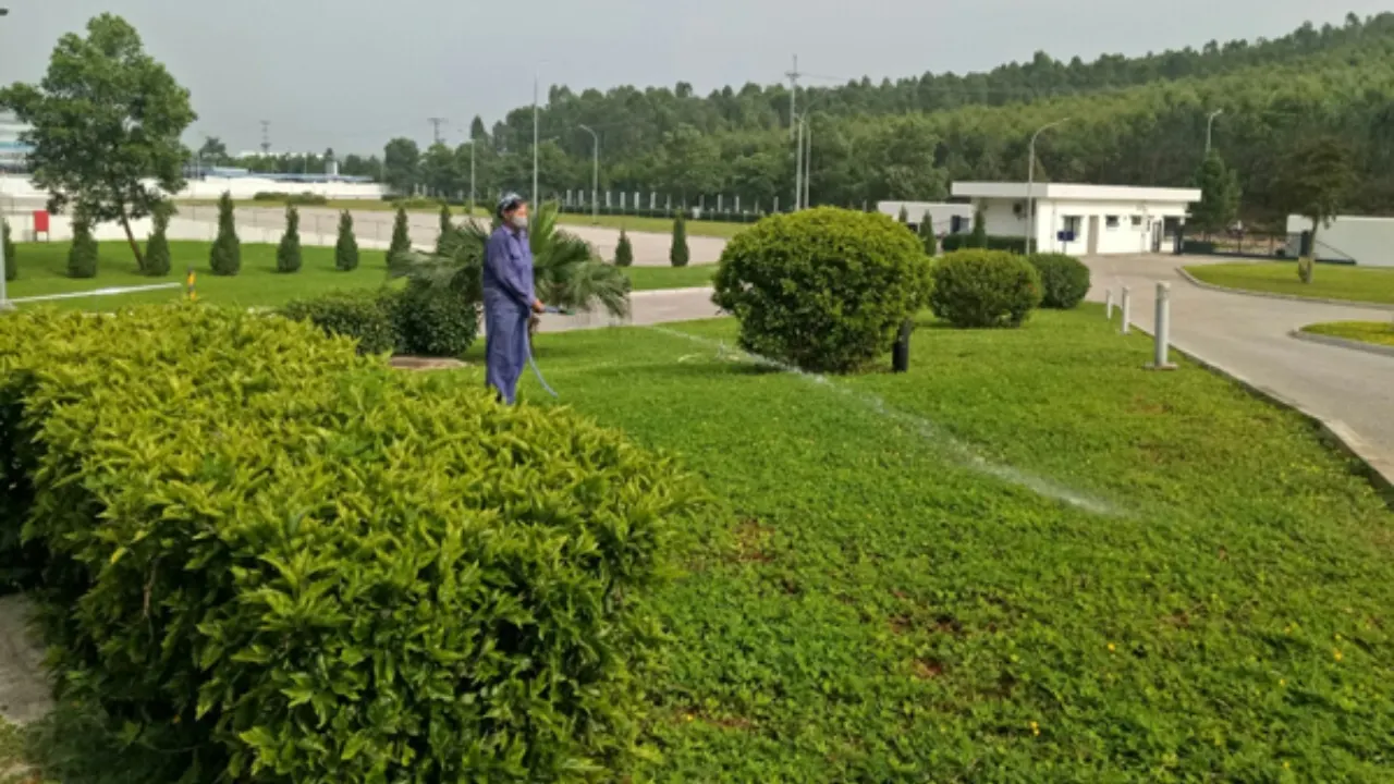 Chăm sóc cây cảnh tại KCN Vĩnh Hiệp